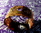 Decorative Copper Wide Band Bracelet image 0