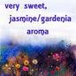African Joy Essence Oil image 0