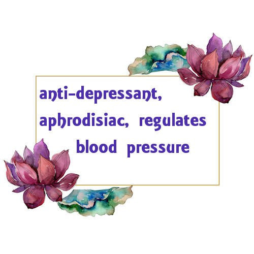 Ylang Ylang Essential Oil image 0