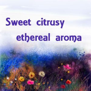 Angel Essence Oil
