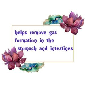 Black Pepper Essential Oil