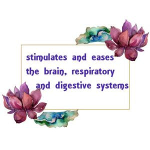 Cardamom Essential Oil