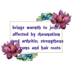 Cassia Essential Oil