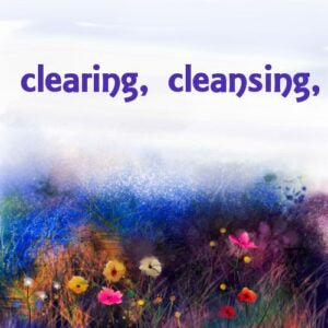 Clary Sage Essence Oil