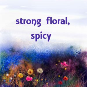 Geranium Essence Oil