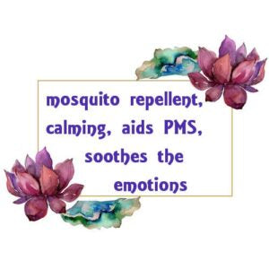 Geranium Rose Essential Oil