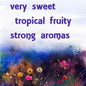 Mango Exotic Essence Oil