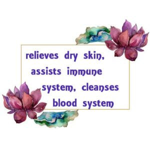 Neem Essential Oil