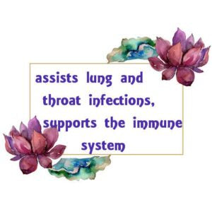 Ravensara Essential Oil