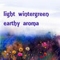 Vetivert Green Essence Oil