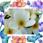 Frangipani Incense Sticks -  hard to find Frangipani incense image 0