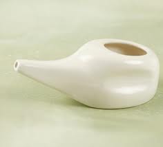 Neti Pot Nasal Rinse image 0