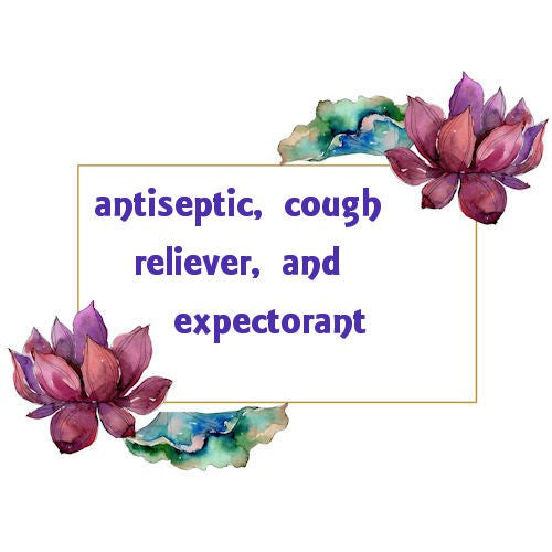 Hyssop Essential Oil image 0