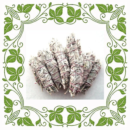 Small White Sage Smudge Sticks image 0